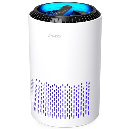 Best Small Room Air Purifier for Smoke