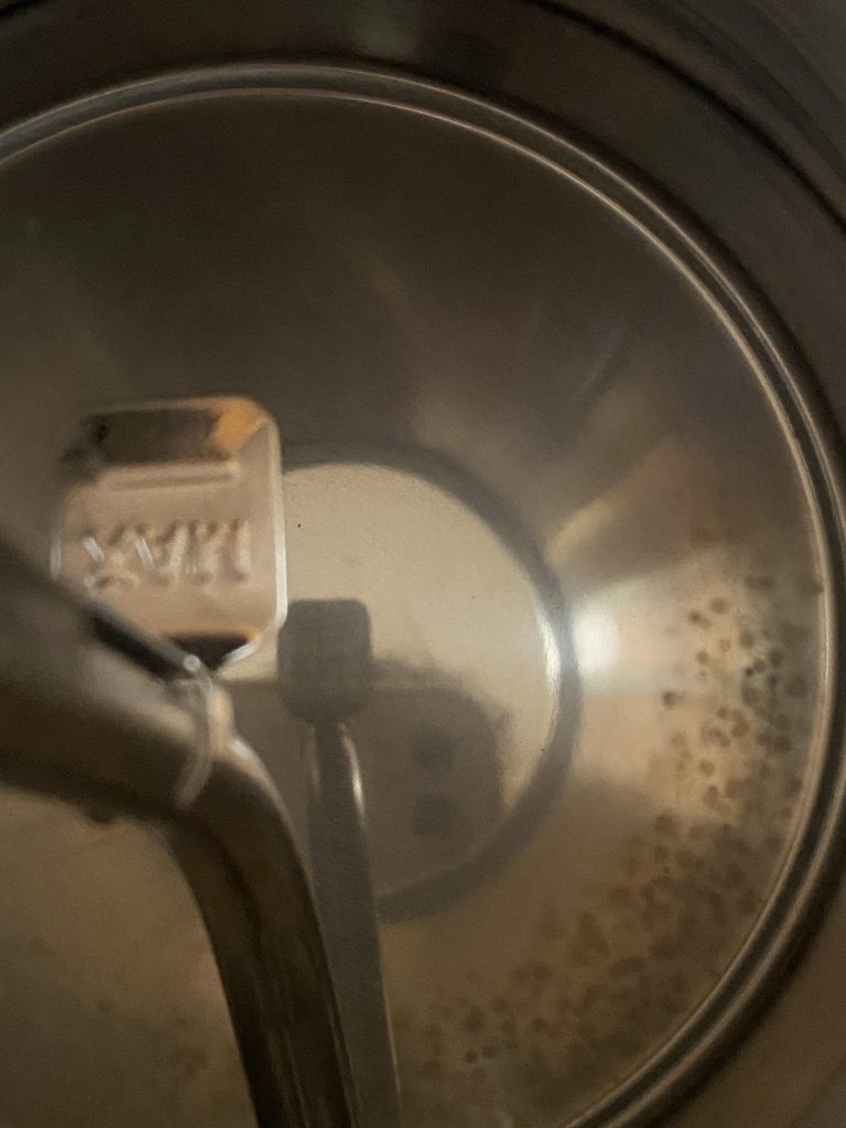 How to Clean Mold Out of Electric Kettle