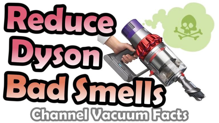 How to Get Dog Smell Out of Dyson Stick Vacuum