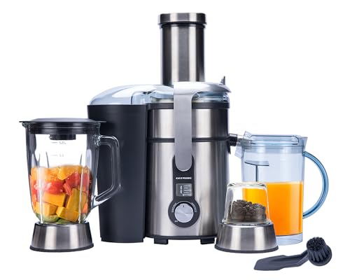 The Best Juicer Blender