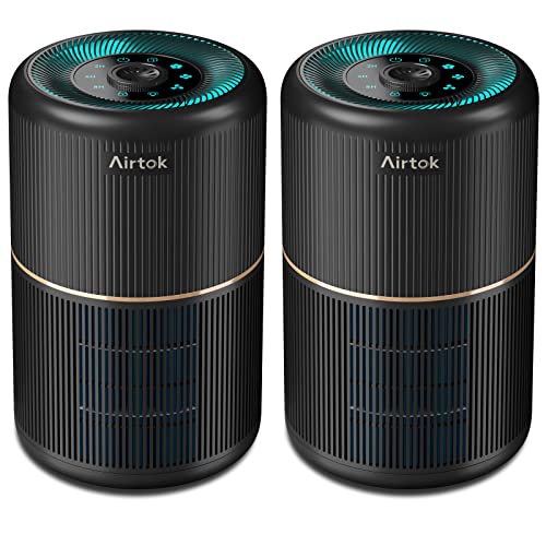 Top 10 Best Air Purifier for Home