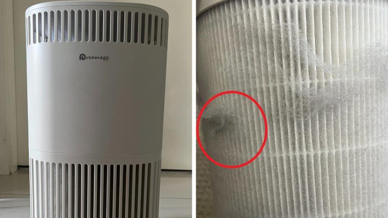 What Air Purifier is Best for Dust