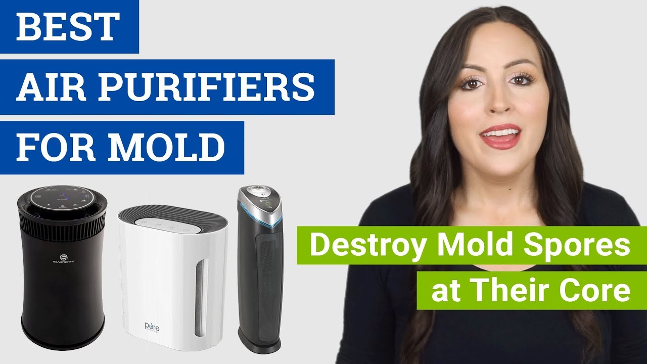 What Air Purifier is Best for Mold