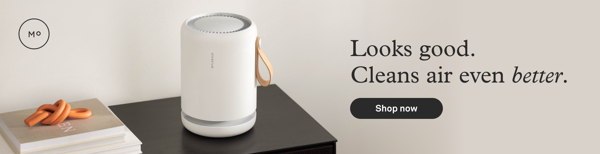 What is the Best Air Purifier for Vocs