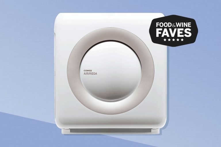 What is the Best Air Purifier for Your Home